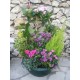 COUPE DE PLANTES